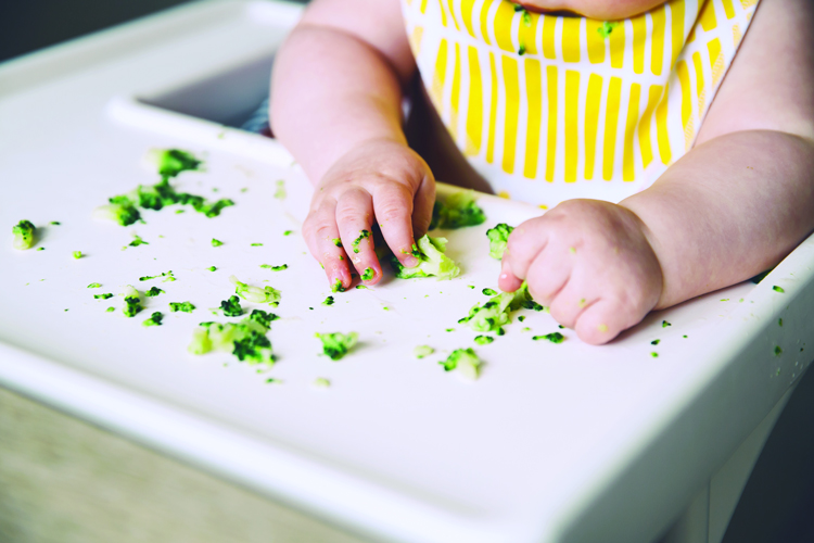 Baby eating with hand