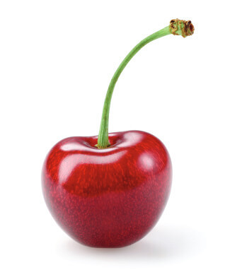 Cherry size comparison