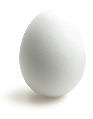 egg-bg-img