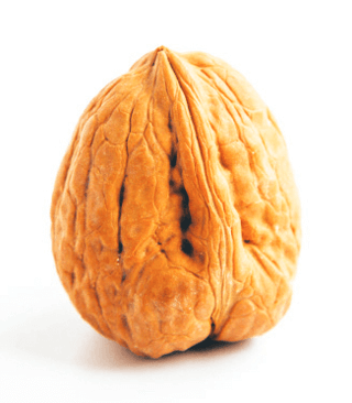 Walnut size comparison