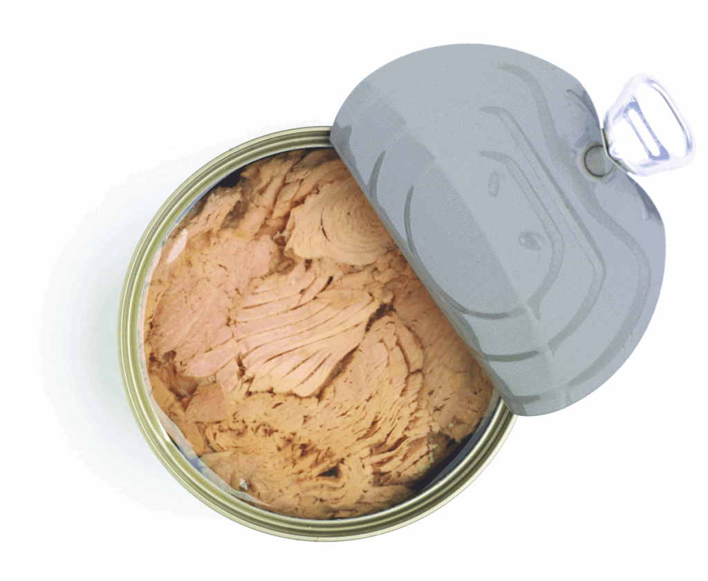 Canned Fish Can