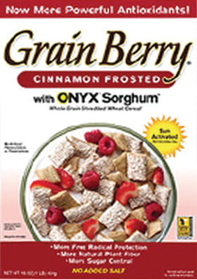 Cinnamon Frosted Shredded Wheat