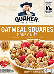 Oatmeal Squares